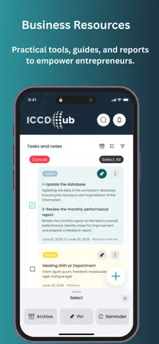 ICCD Hub screenshot